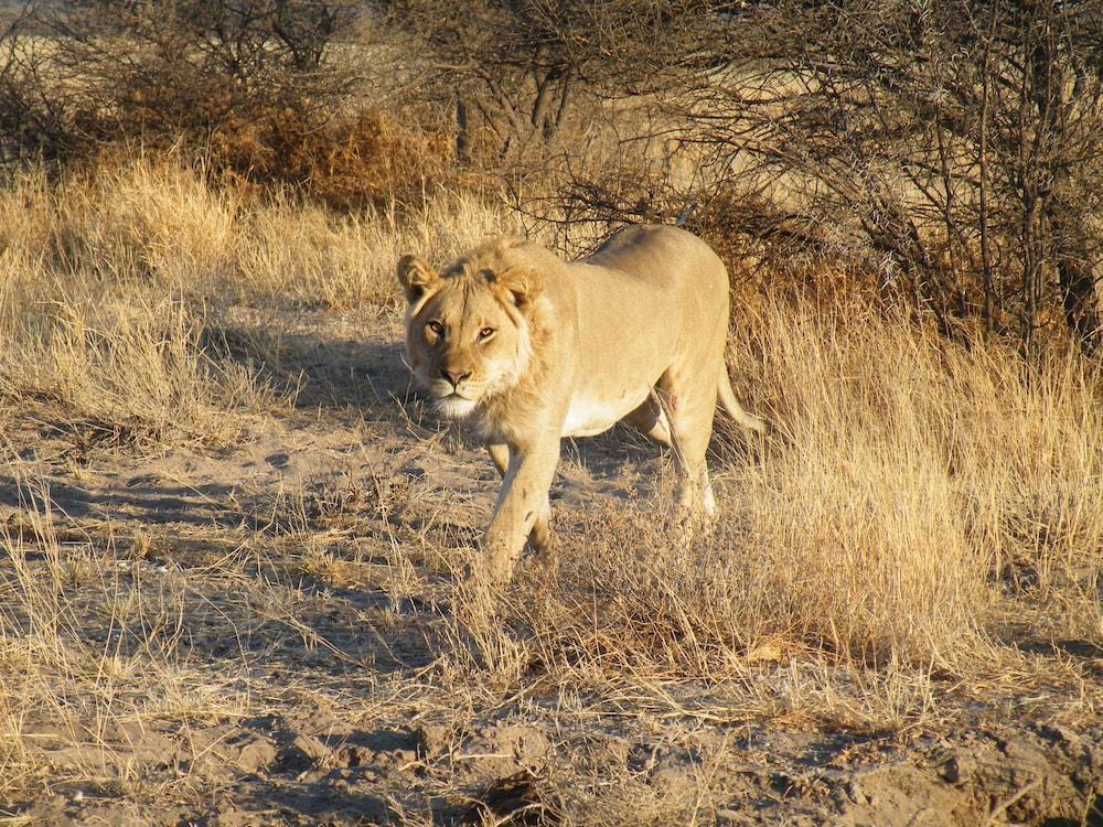 Mthimkhulu Private Game Reserve
