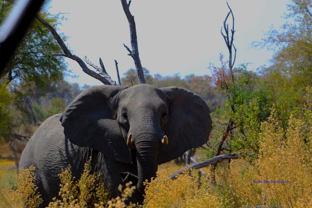 Mthimkhulu Private Game Reserve