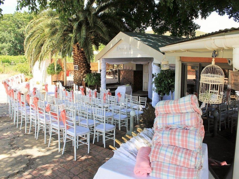 Damas Guest Farm