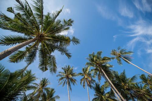 Seavana Beach Resort