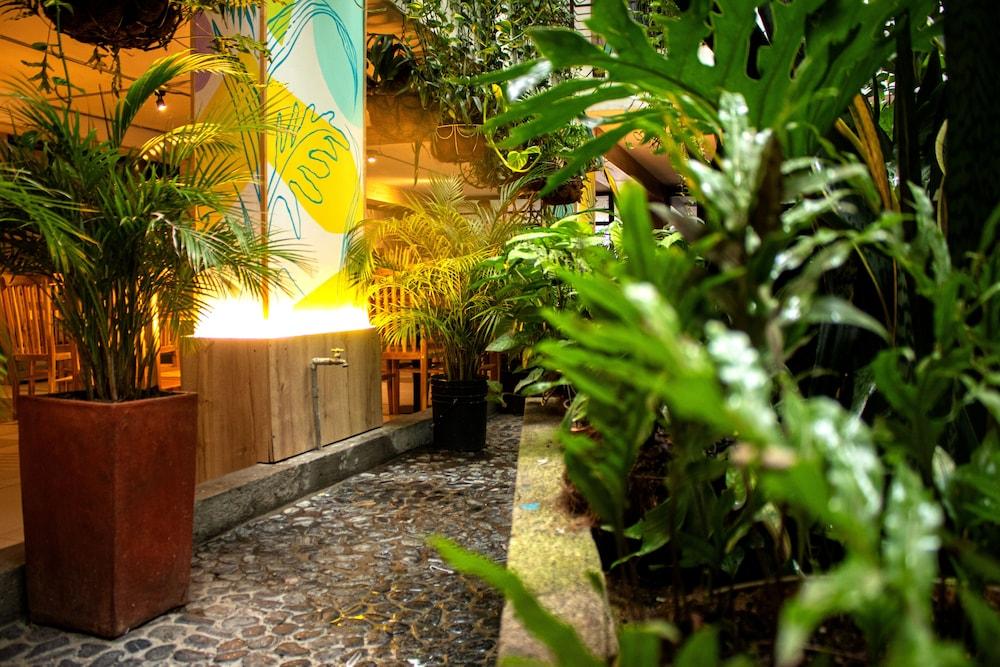 Hotel Natural