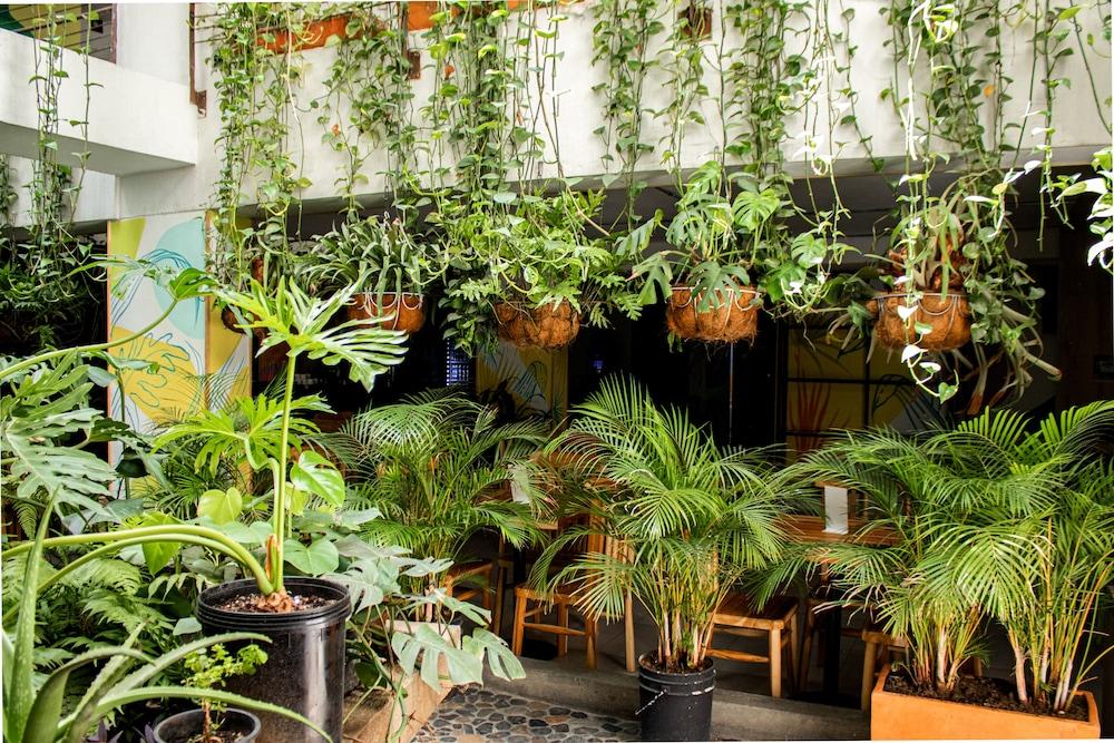 Hotel Natural