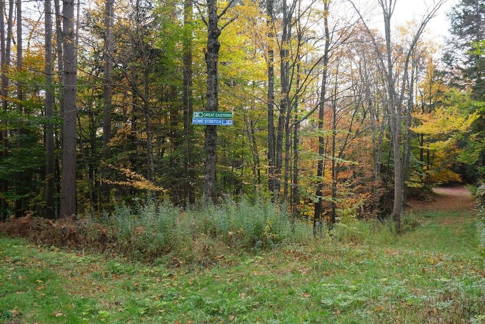 Spruce Glen