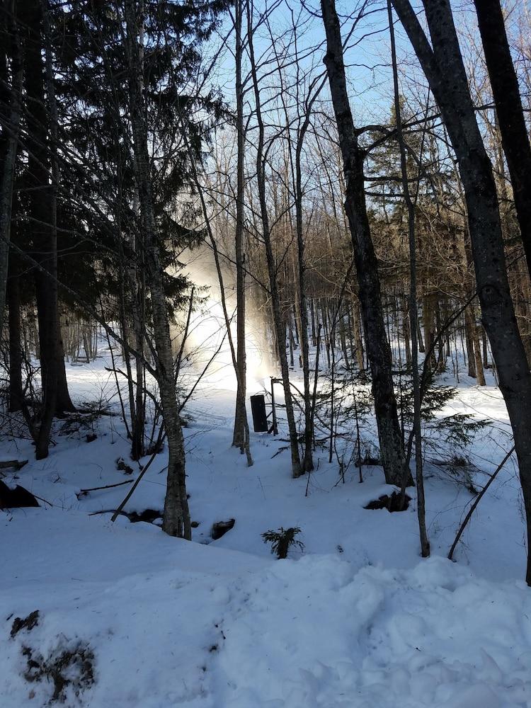 Spruce Glen