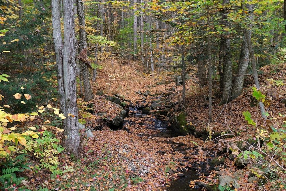 Spruce Glen