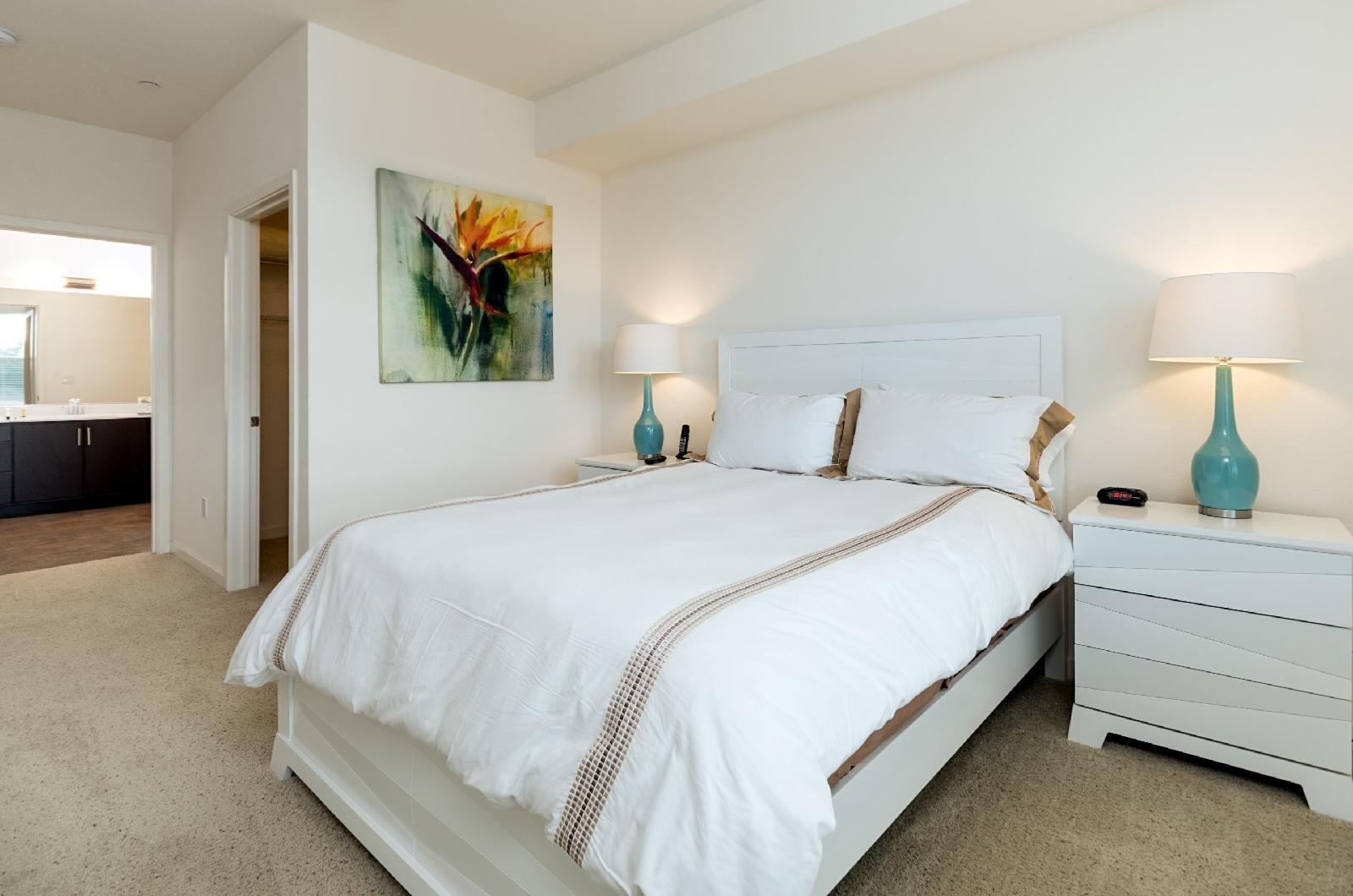 Bluebird Suites in Silicon Valley