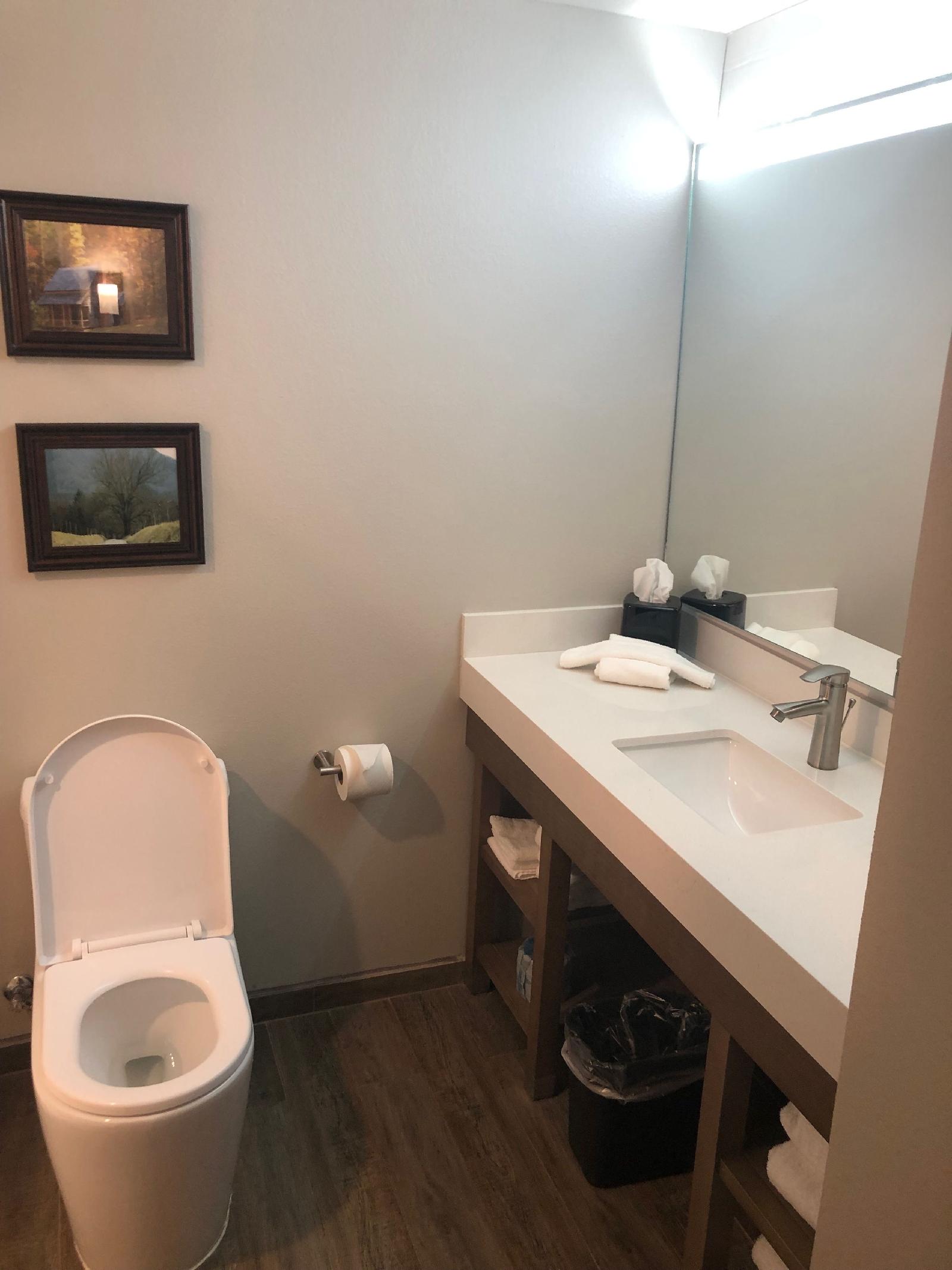 Comfort Suites