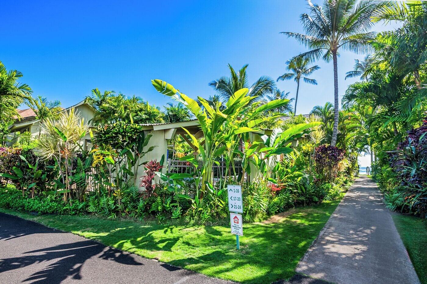 Kapaa Sands