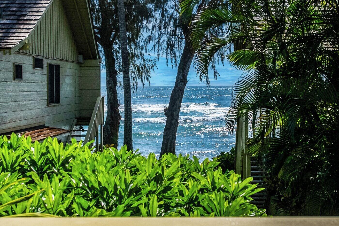 Kapaa Sands