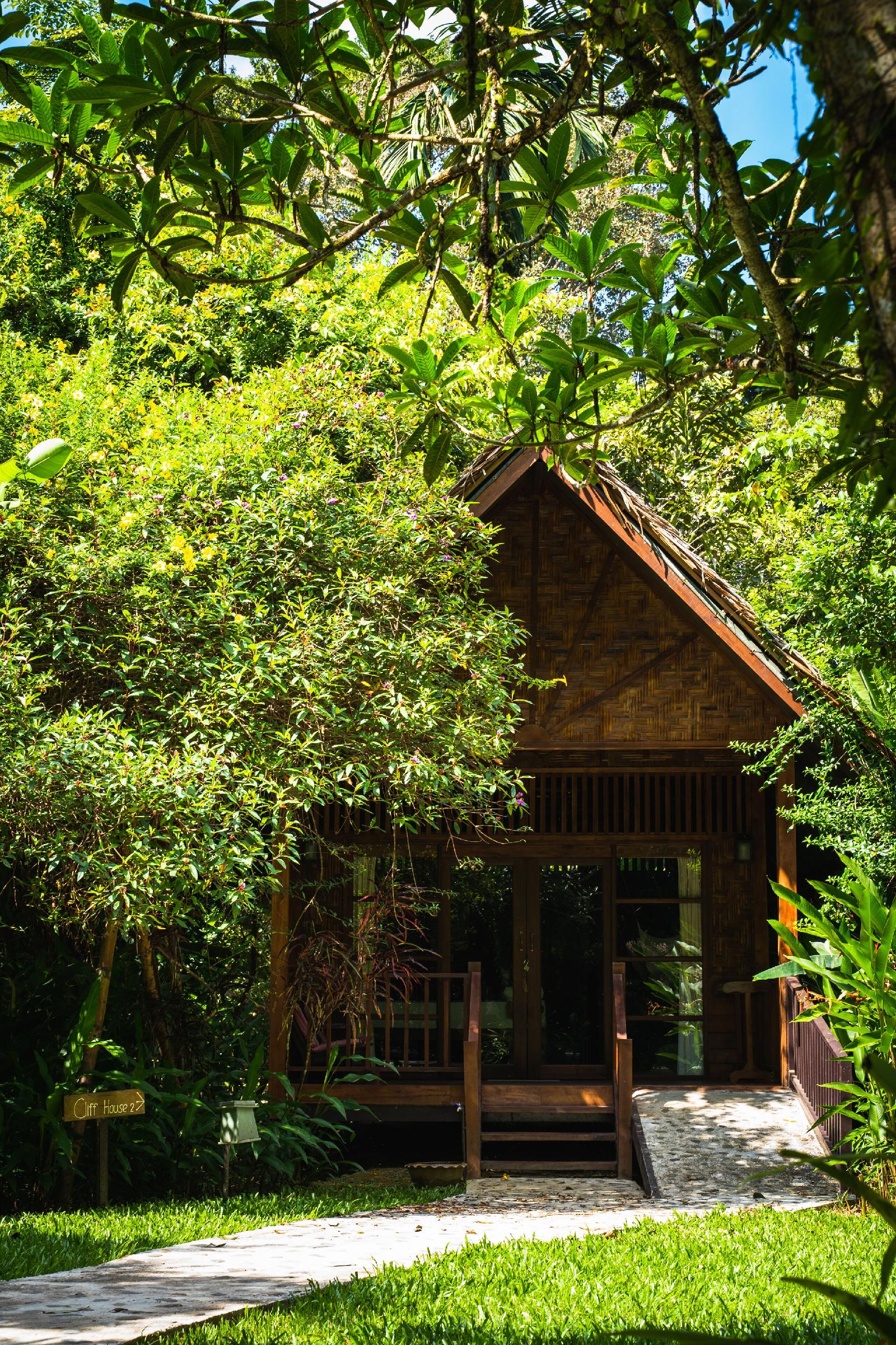 Our Jungle House