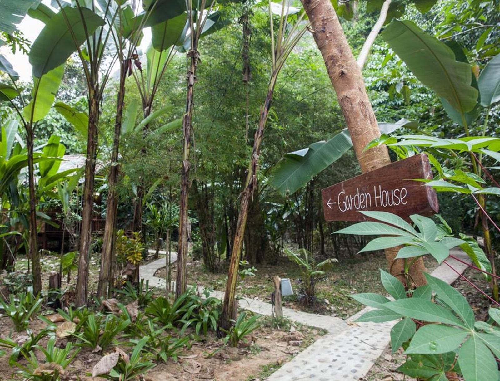 Our Jungle House