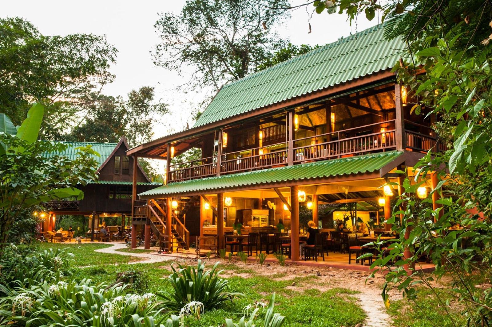 Our Jungle House