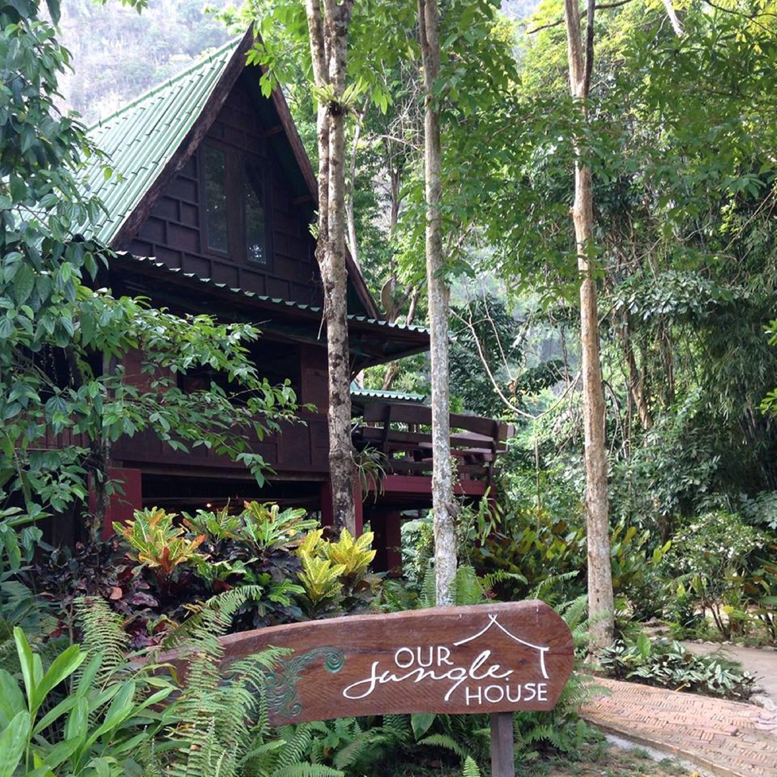 Our Jungle House