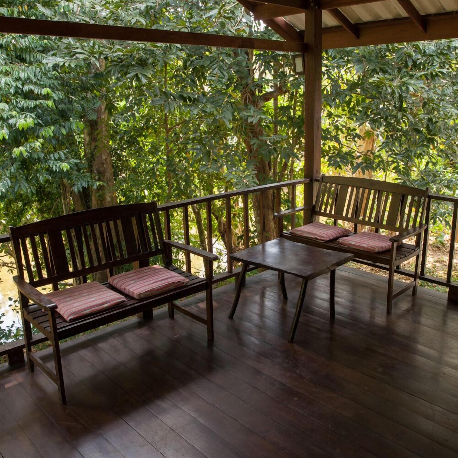 Our Jungle House