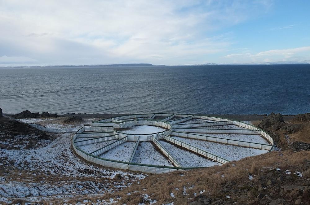 Guesthouse NeÐra-Vatnshorn