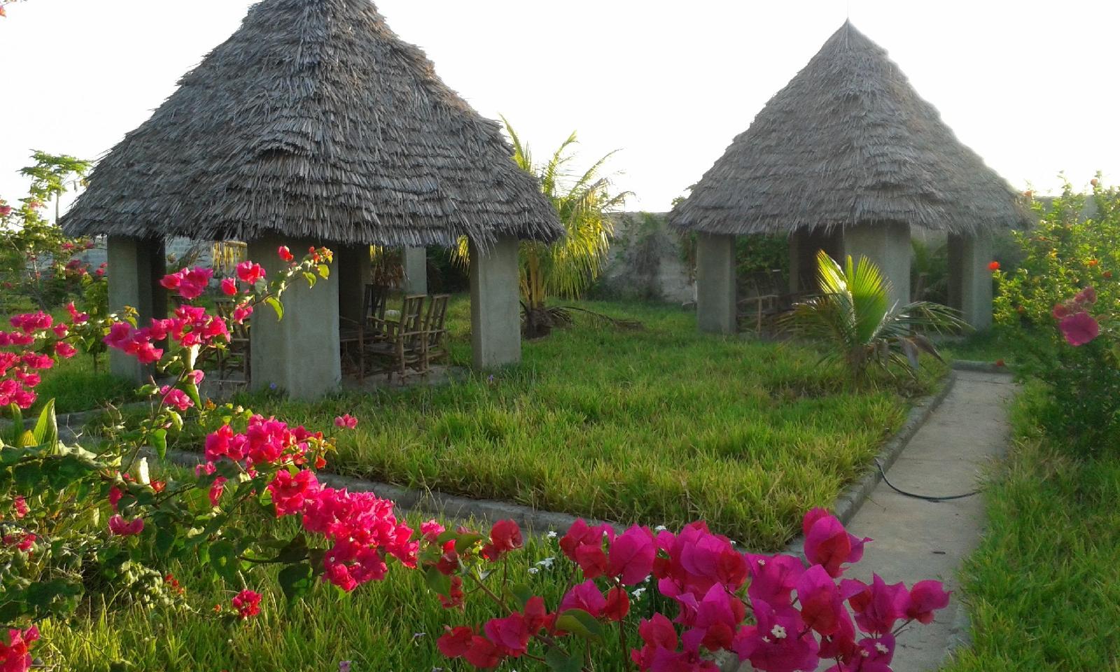 Paipai Zanzibar