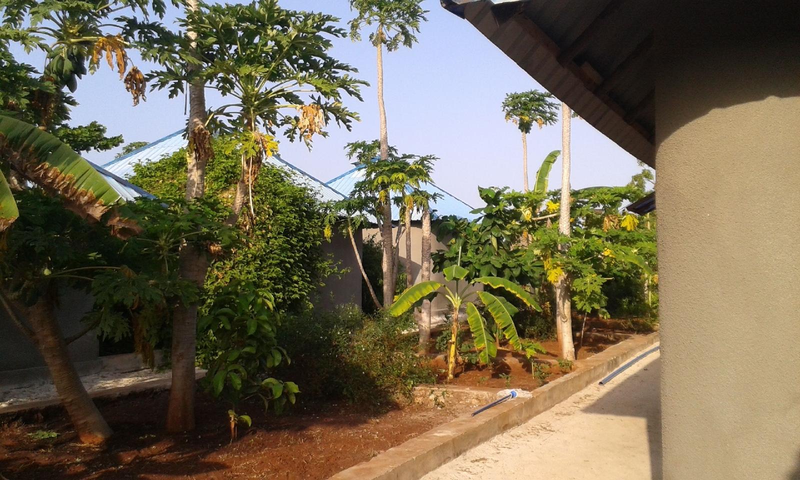 Paipai Zanzibar