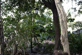 Cane B&B