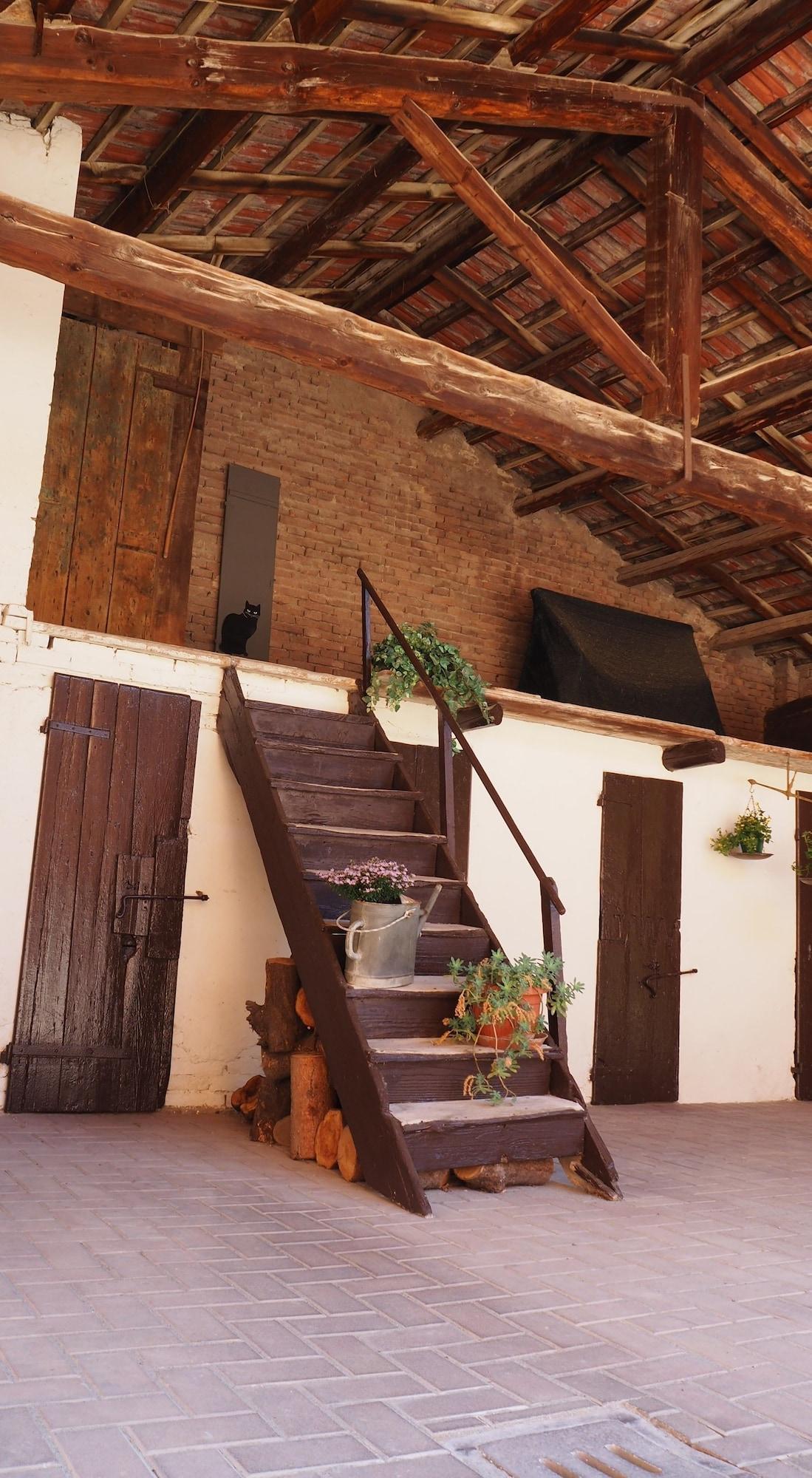 B&B Giardino34