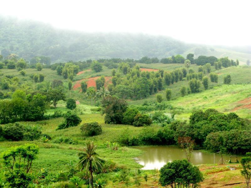 Bu-Ngasari Resort