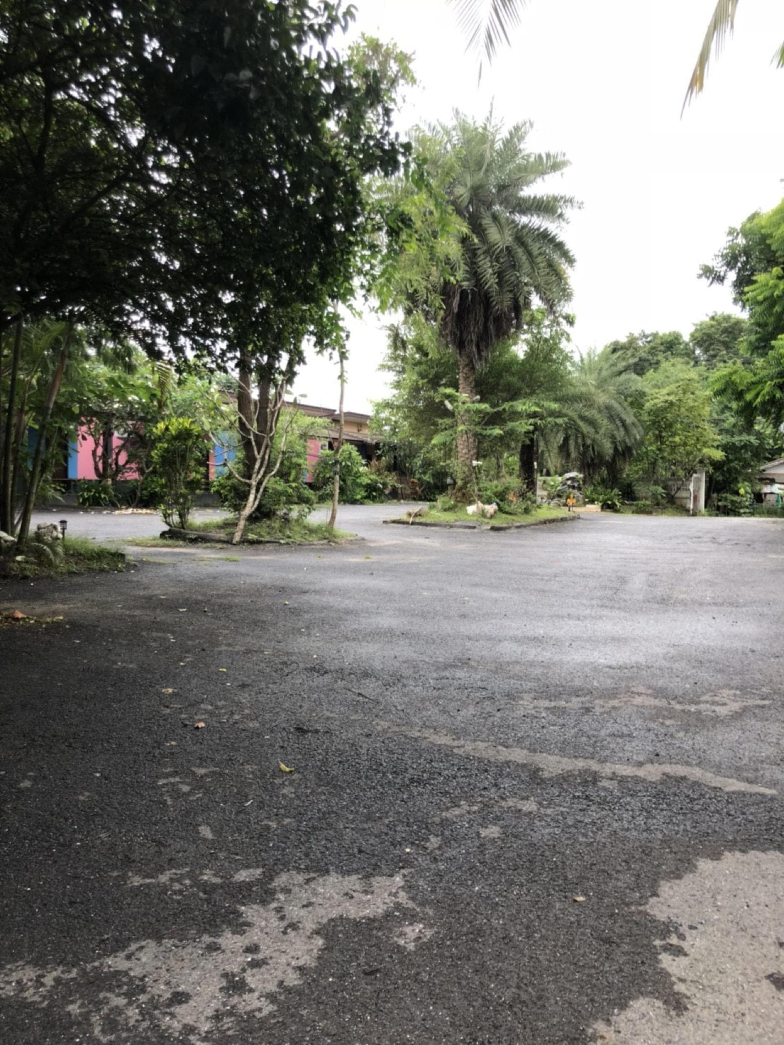 Amazon Villas