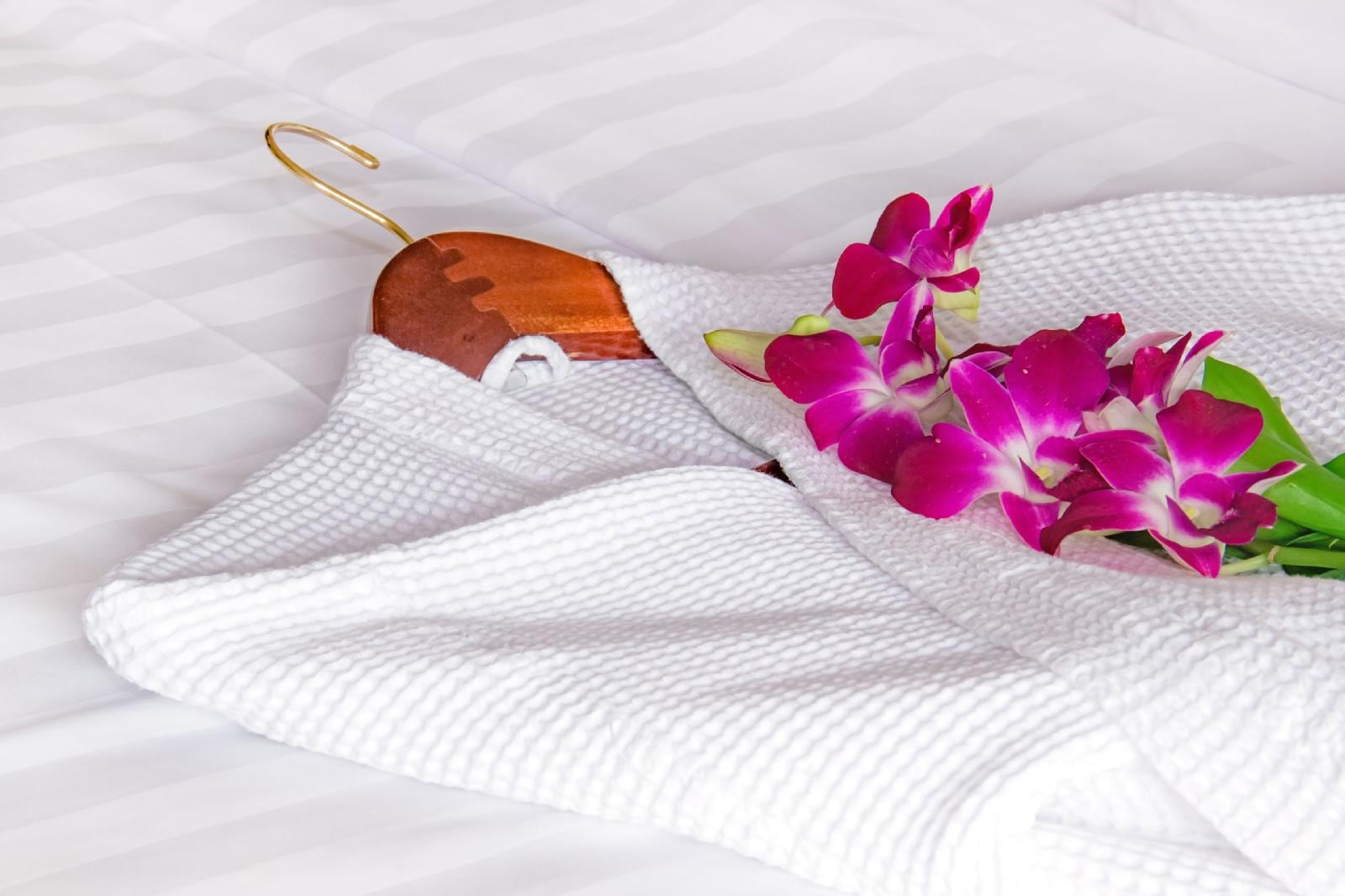 Exclusive Hotel Boutique