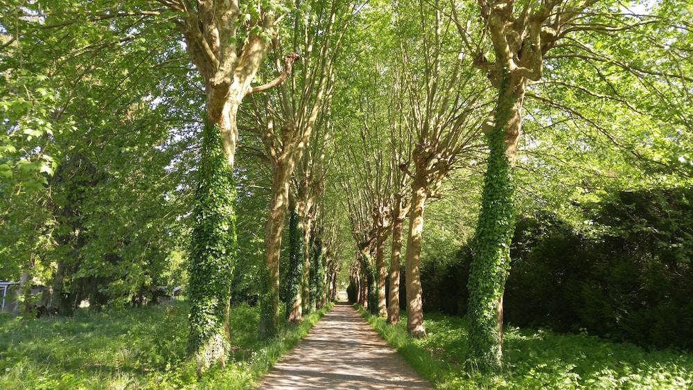 Domaine De Bramefaon