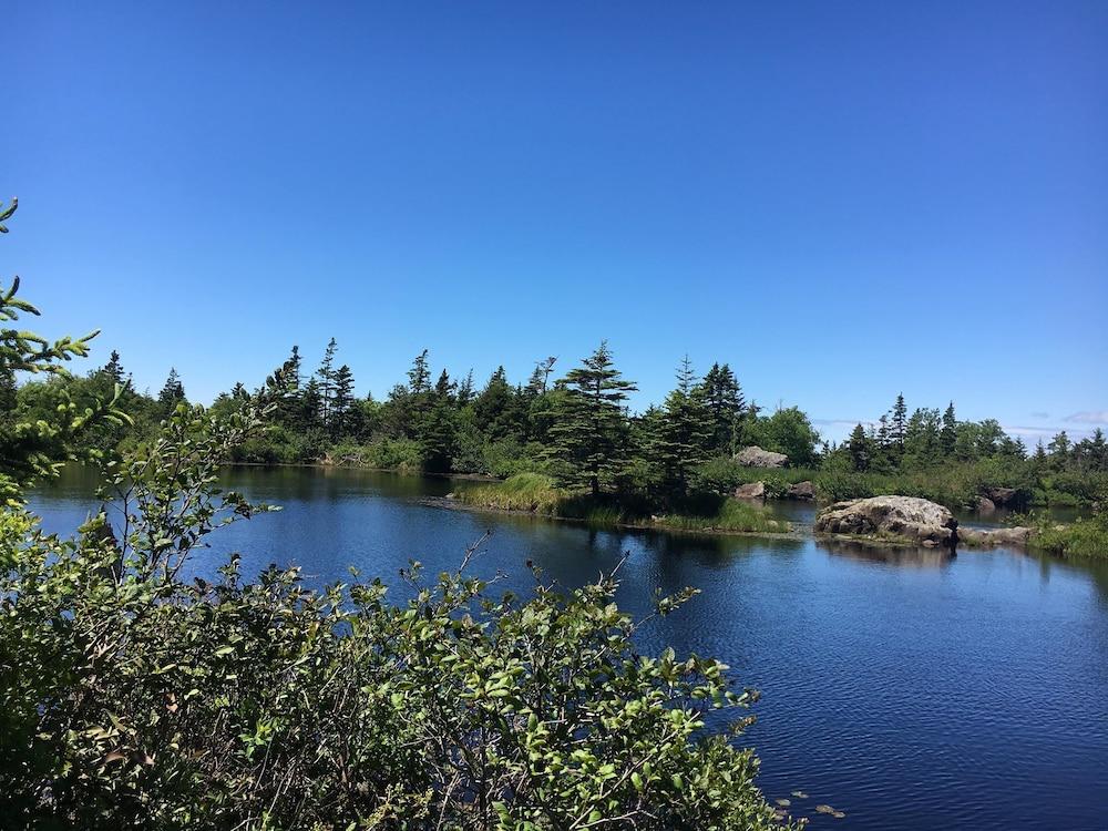 Whale Cove Inn