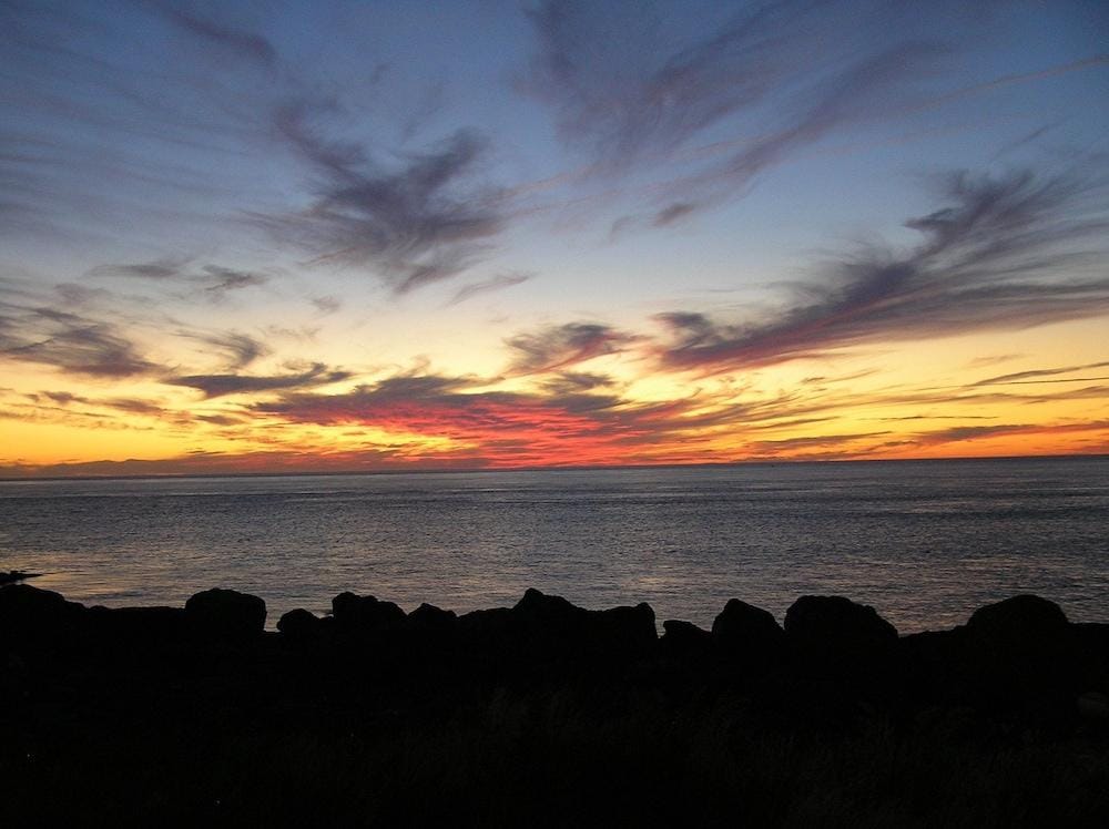Whale Cove Inn
