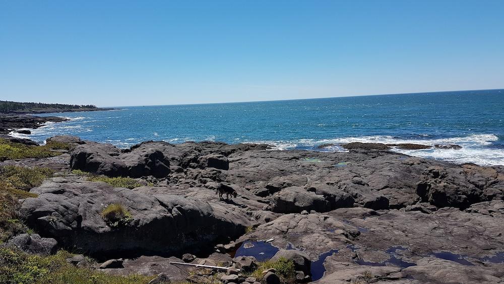 Whale Cove Inn