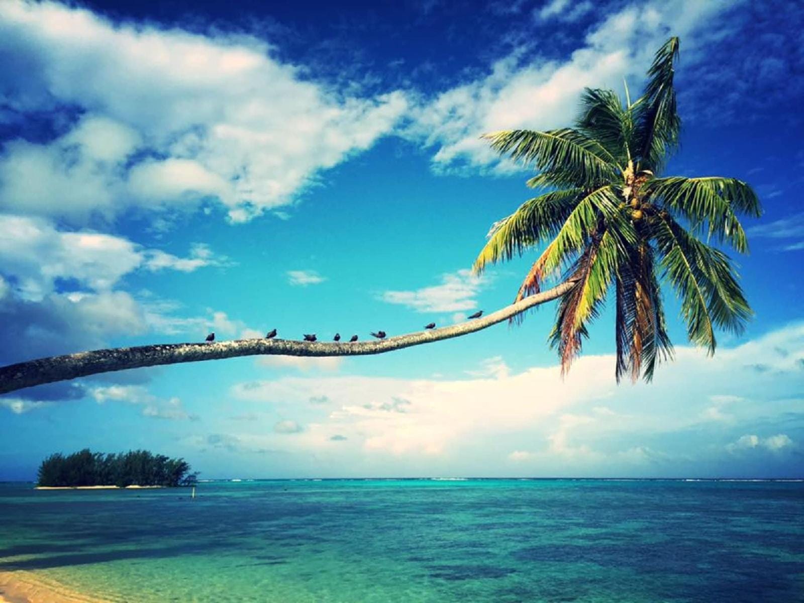 Moorea Beach Lodge
