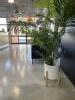 Adelaide Airport Motel