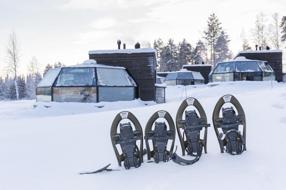 Arctic Fox Igloos
