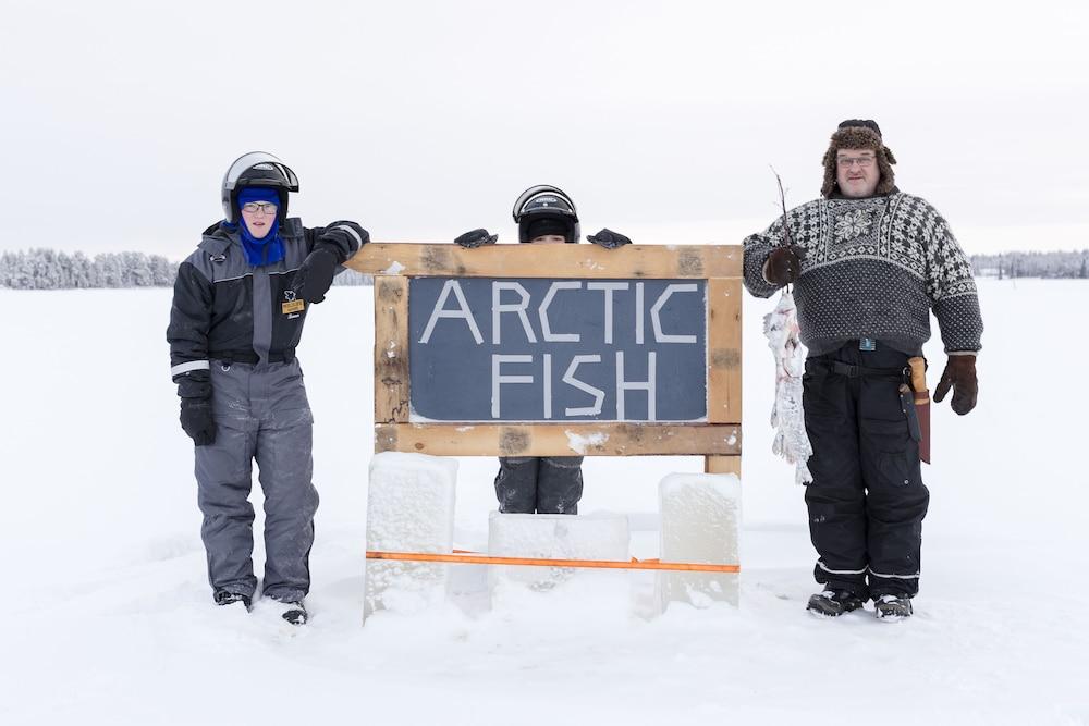 Arctic Fox Igloos
