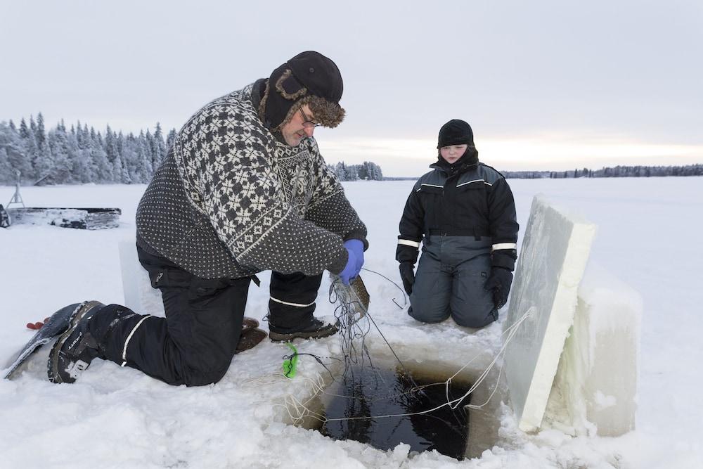 Arctic Fox Igloos