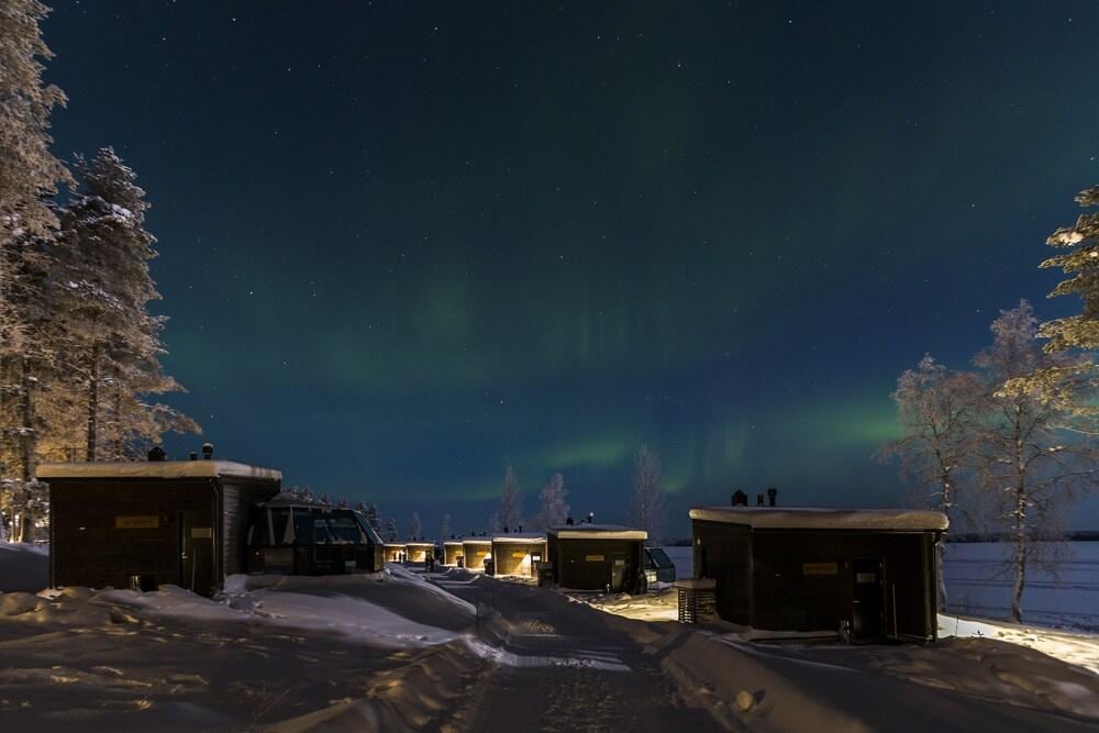 Arctic Fox Igloos