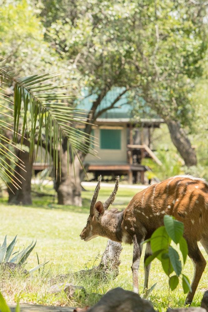 Xaro Lodge