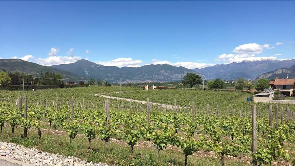 Lovera franciacorta