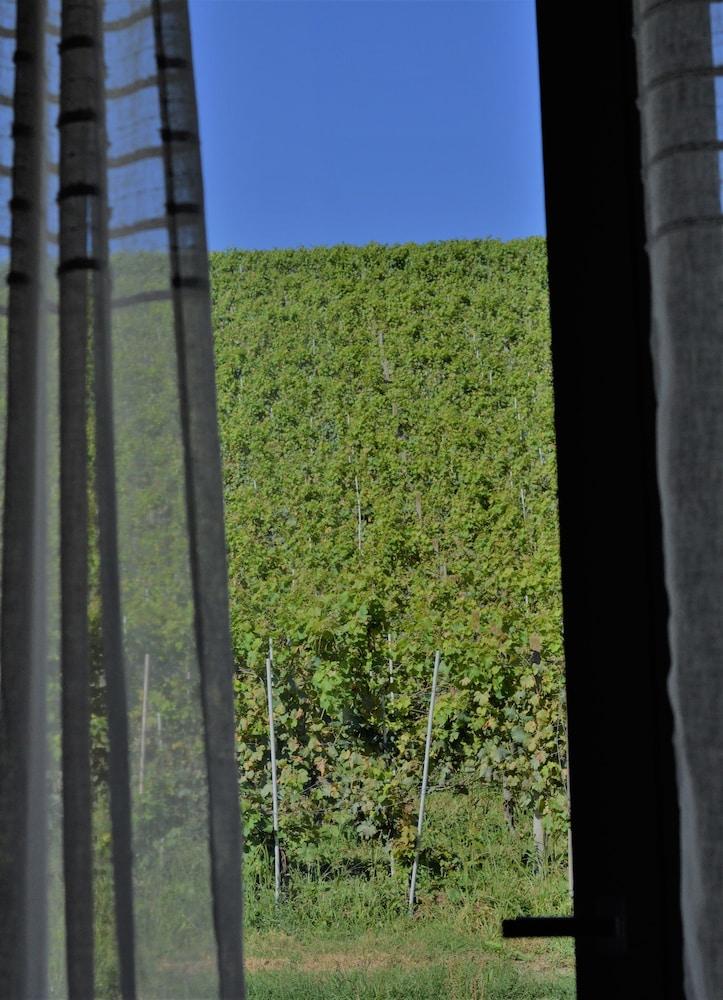 Agriturismo Vitae Di Langa