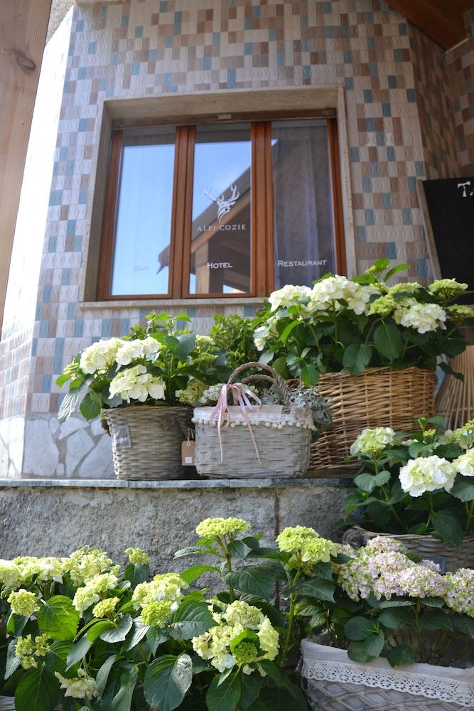 Hotel Alpi Cozie