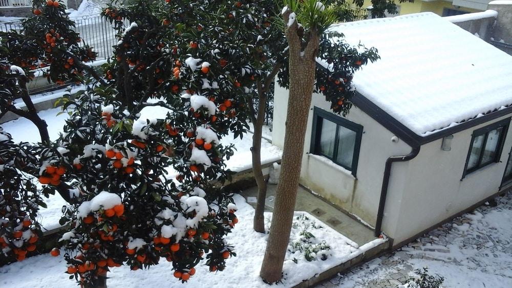 La magnolia B&B