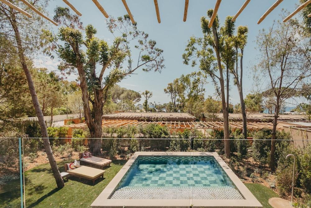 Lily Of The Valley Hotel