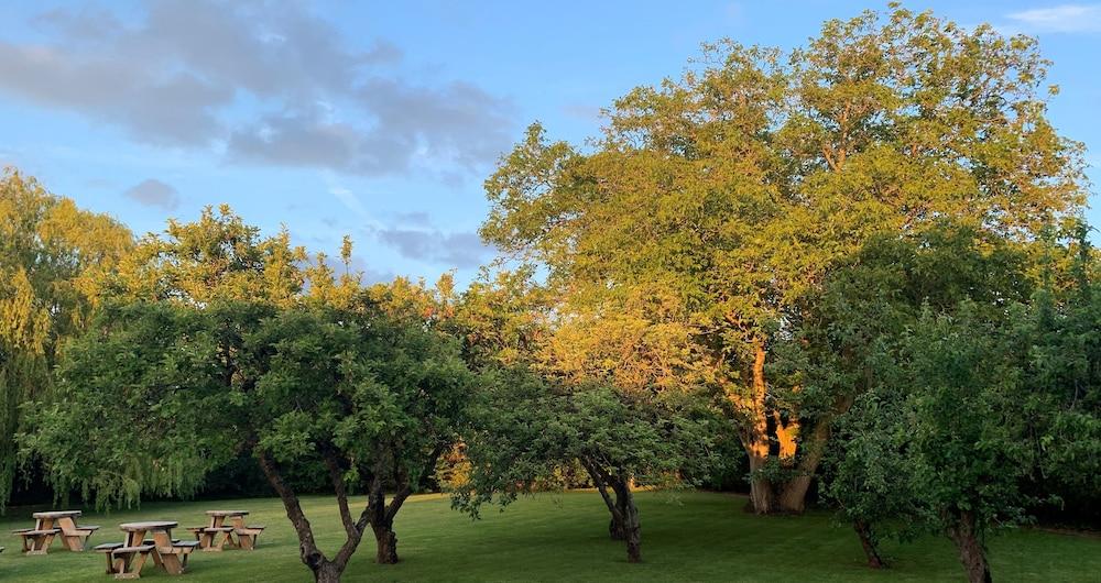 Hope Orchard Bed & Breakfast
