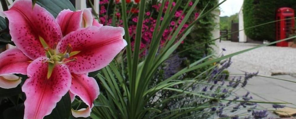 Hope Orchard Bed & Breakfast