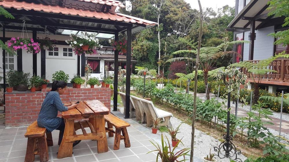 Casa Loma Cameron Highland