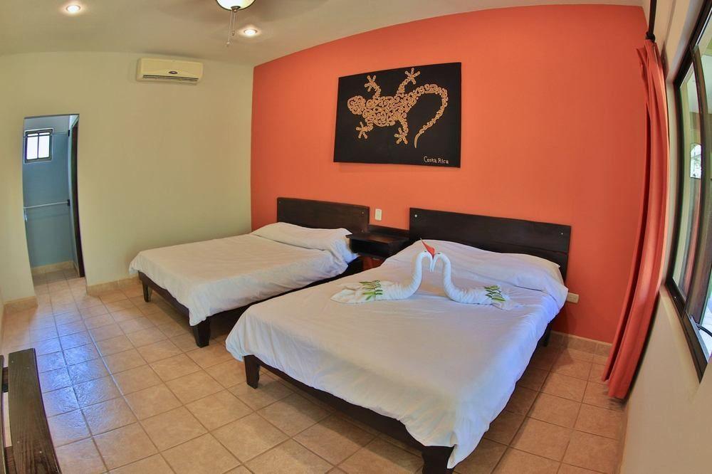 Pitaya Lodge