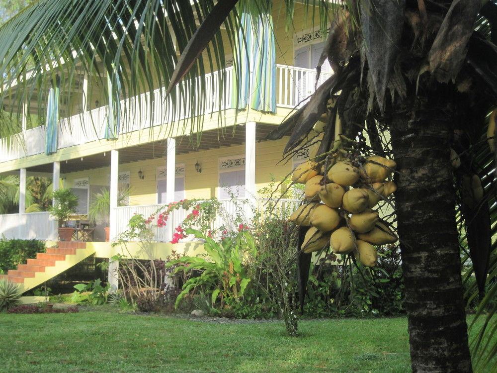 Sand Dollar Beach Bed & Breakfast