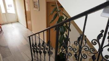 Pension Oituz