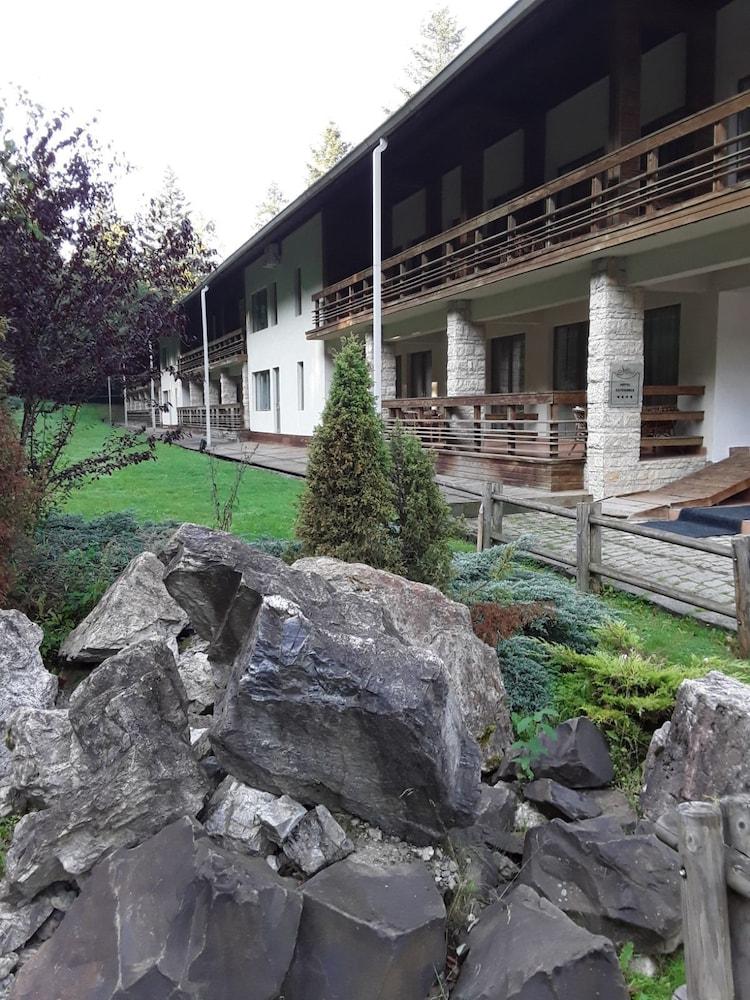 Sofia