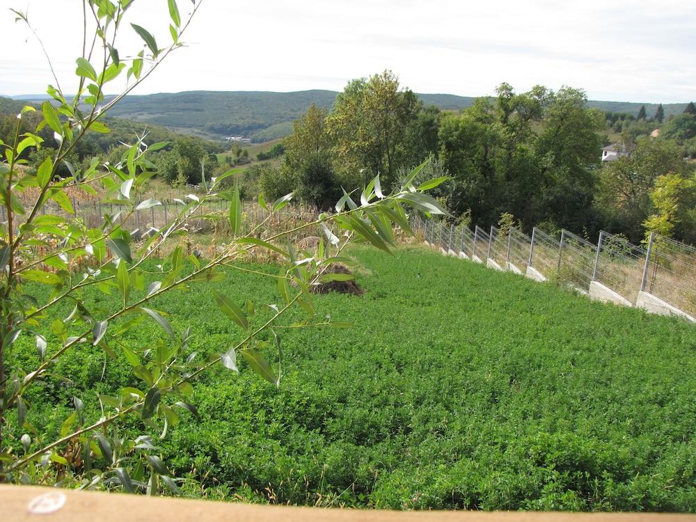Agropensiunea Maris